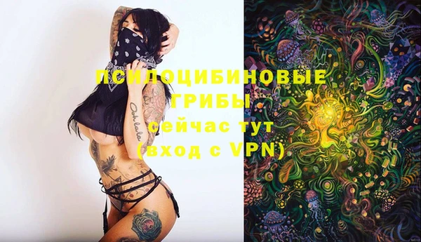 MDMA Premium VHQ Каменногорск