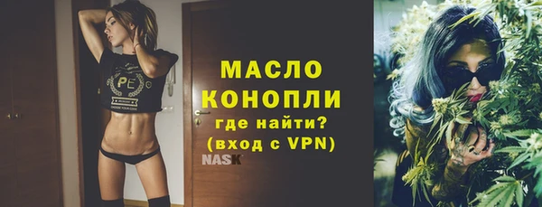 Альфа ПВП Инта