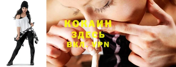 Альфа ПВП Инта