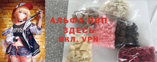 Альфа ПВП Инта