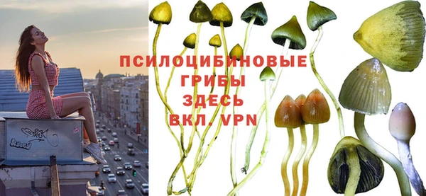 Альфа ПВП Инта
