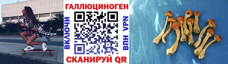 Псилоцибиновые грибы ЛСД  Купить  Очёр 